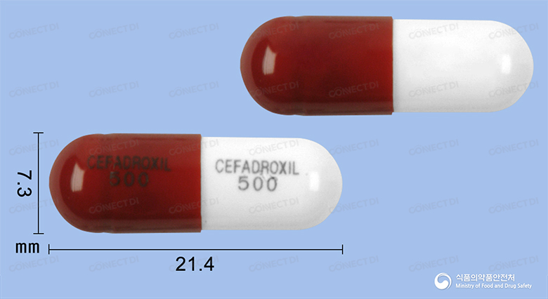 광동세파드록실캡슐 500mg